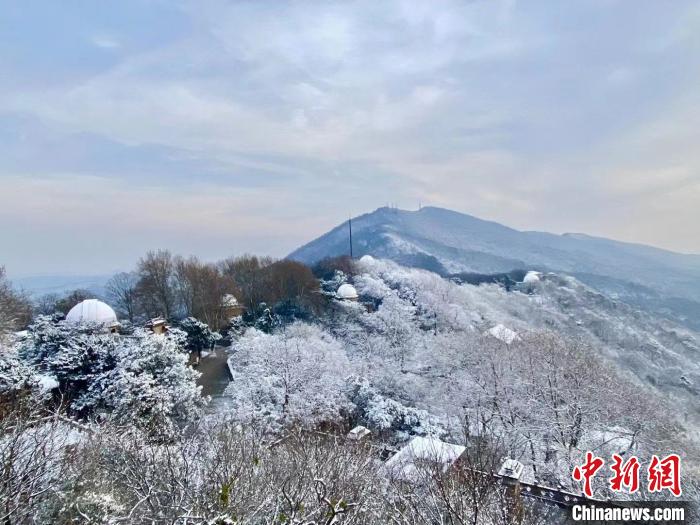 14日，俯瞰南京紫金山雪景。　陳向陽(yáng) 攝
