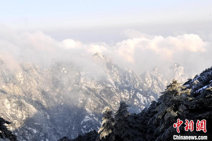 雪后黃山，白雪白云相互映襯 王輝 攝