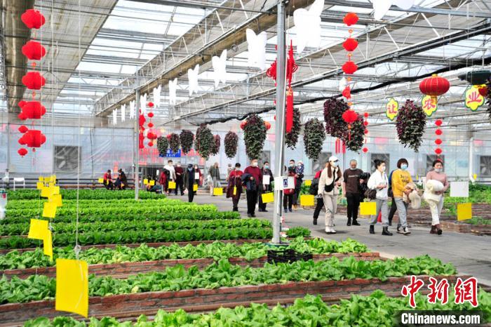 大年初一上午，來長春農(nóng)博園游覽的游客絡(luò)繹不絕?！「啐埌?攝