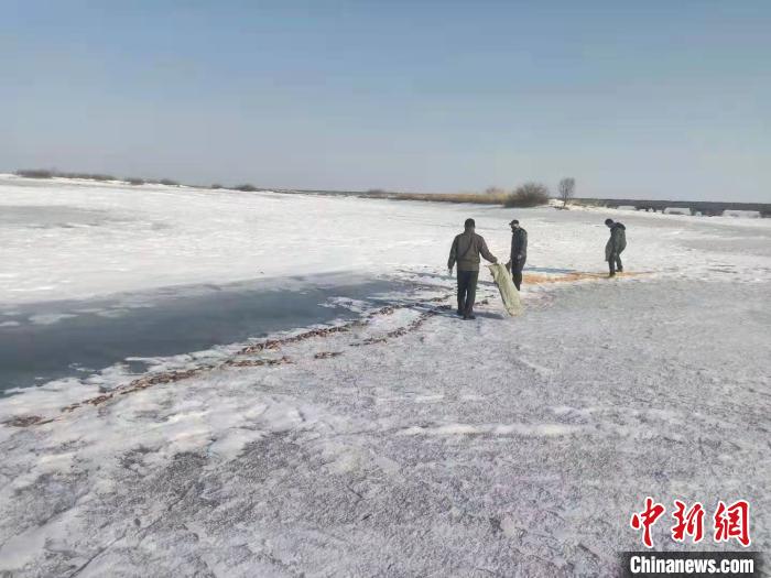 工作人員在投食玉米。撓力河保護(hù)區(qū)提供