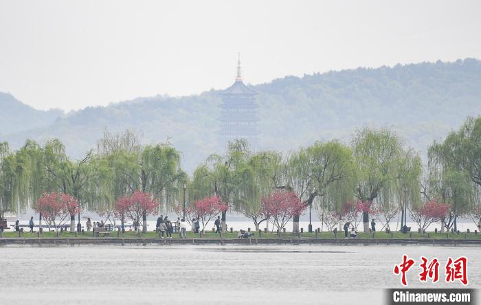圖為杭州西湖?！⊥鮿?攝