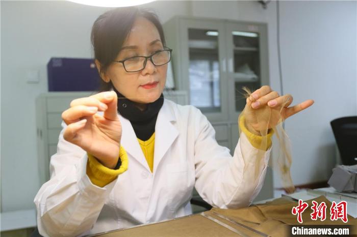 據(jù)趙喜梅介紹，修復(fù)文物紡織品所用的縐絲紗比頭發(fā)絲還細(xì)。　高展 攝