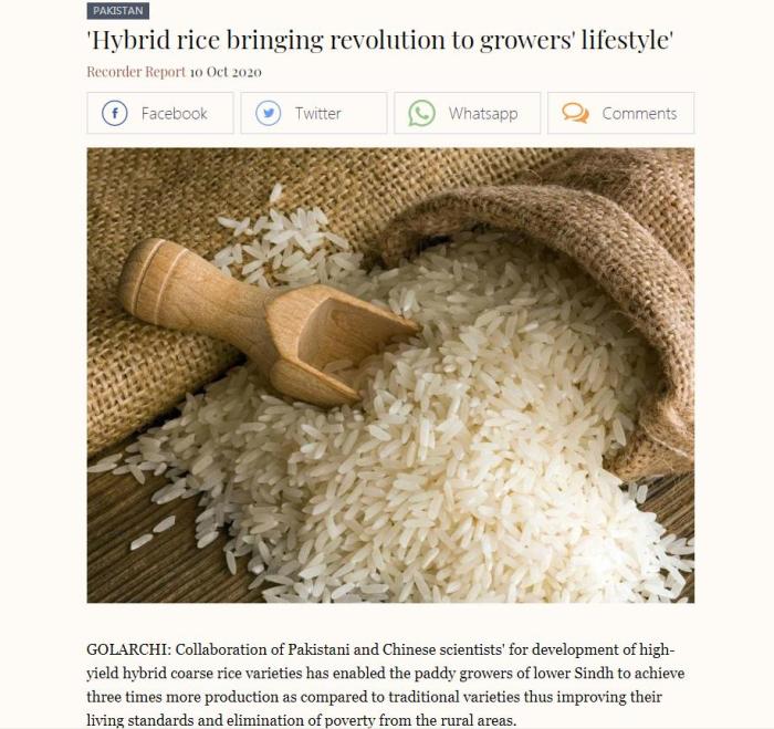 點擊進(jìn)入下一頁