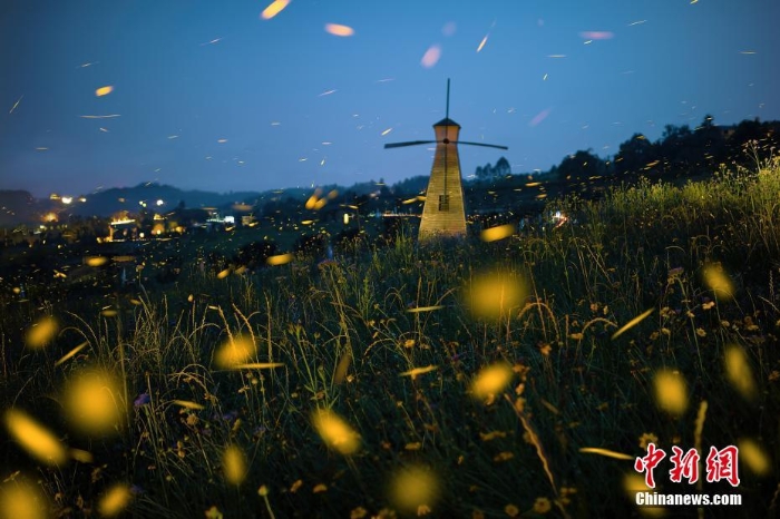 螢火蟲(chóng)點(diǎn)亮福建漳州村莊夜晚美輪美奐