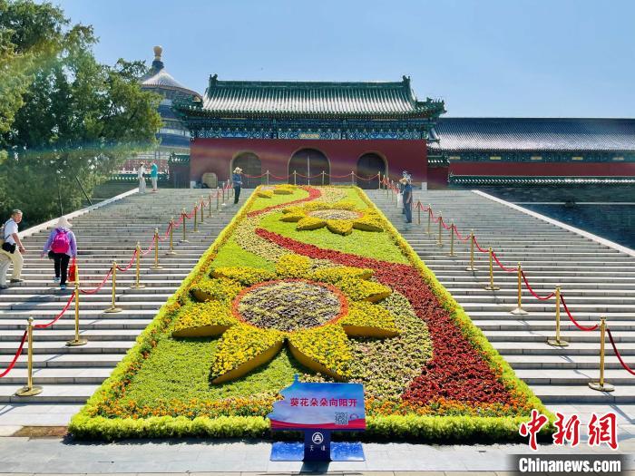 天壇公園的“葵花朵朵向陽(yáng)開(kāi)”主題花壇?！”本┦泄珗@管理中心供圖