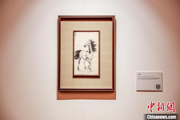 徐悲鴻于1942年創(chuàng)作的《揚(yáng)蹄》?！⌒毂櫭佬g(shù)館供圖