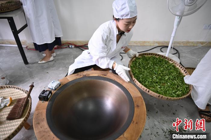 6月25日，四川成都邛崍夾關(guān)鎮(zhèn)，工作人員準(zhǔn)備對茶葉進(jìn)行殺青?！埮d龍 攝