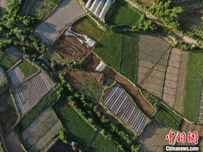 圖為監(jiān)測到的象群?！≡颇鲜∩窒揽傟?duì)供圖
