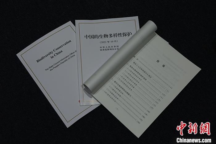 點(diǎn)擊進(jìn)入下一頁(yè)