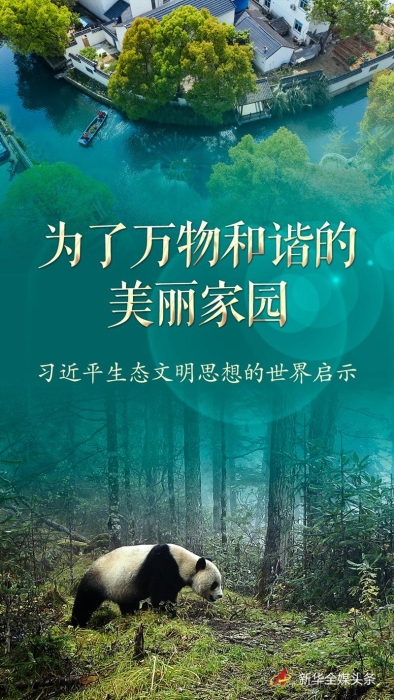 點擊進(jìn)入下一頁