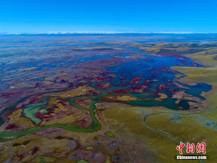 張張壁紙！黃河源頭秋景惹人醉