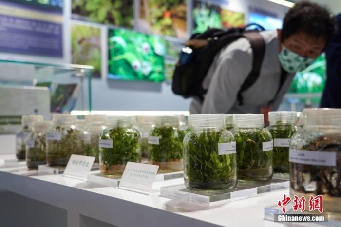 點擊進(jìn)入下一頁