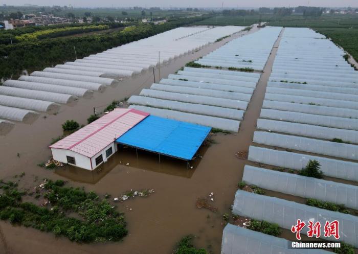 資料圖：被淹的大棚。 <a target='_blank' href='http://www.chinanews.com/'>中新社</a>記者 鄒浩 攝
