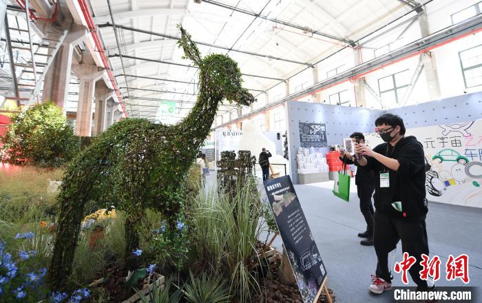 圖為：參觀者在“植物空間站”拍照打卡?！⊥鮿?攝