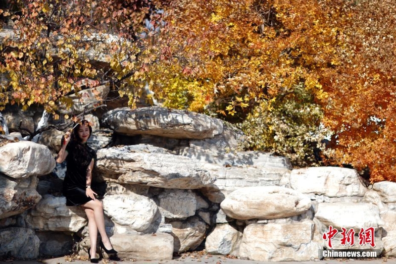北京世園公園紅葉進(jìn)入最佳觀賞期  引游客游園打卡
