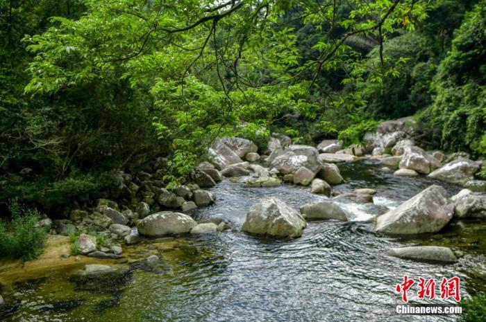 圖為海南熱帶雨林國(guó)家公園體制試點(diǎn)區(qū)吊羅山片區(qū)南喜峽谷內(nèi)的河流。 駱云飛 攝