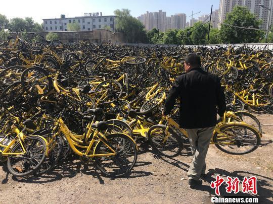 工作人員將回收的共享單車集中擺放在一起。　韋亮 攝