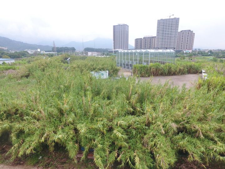 點擊進(jìn)入下一頁