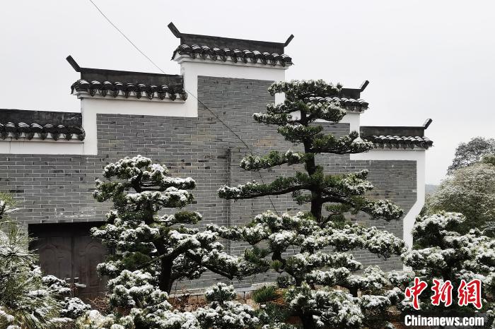 圖為：寧波奉化溪口鎮(zhèn)三十六灣村雪景在粉墻黛瓦襯托下呈現(xiàn)獨特江南景致?！≡ǔ?通訊員) 攝