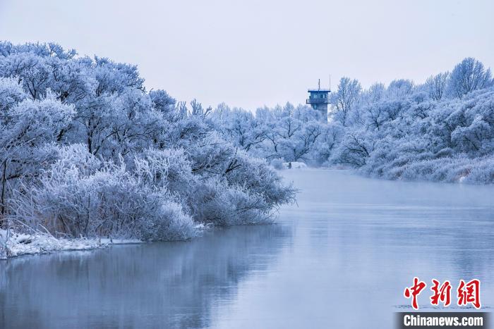 興凱湖的霧凇美景?！∷蝹鬈?攝