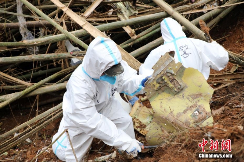 東航墜機(jī)救援現(xiàn)場：武警官兵分批次、分區(qū)域搜索