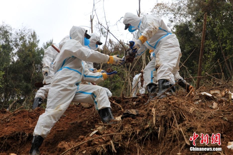 東航墜機(jī)救援現(xiàn)場：武警官兵分批次、分區(qū)域搜索