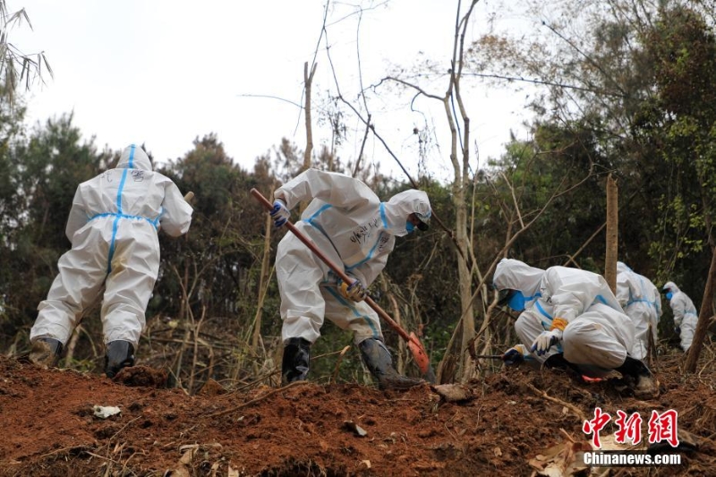 東航墜機(jī)救援現(xiàn)場：武警官兵分批次、分區(qū)域搜索