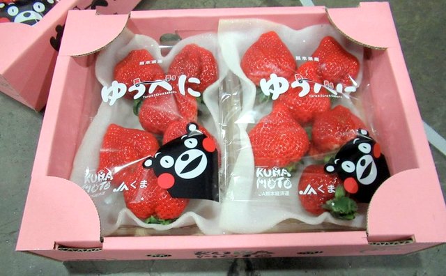 日本進口的草莓因農(nóng)藥超標(biāo)而遭退運。（照片：臺“食藥署”提供） 圖片來源：香港“中評社”.jpg