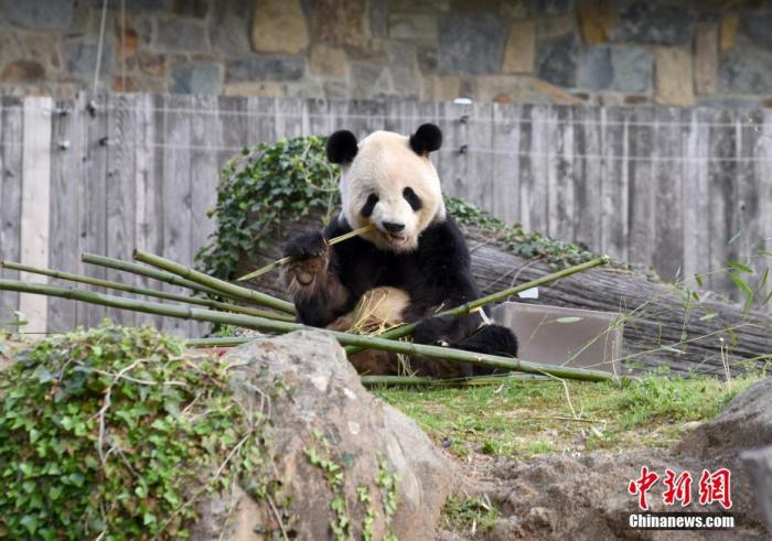 點擊進入下一頁