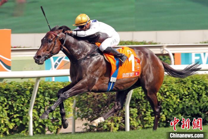 香港馬王“金槍六十”刷新香港賽駒的頭馬紀(jì)錄，并成為香港歷來(lái)累積最多獎(jiǎng)金的賽駒?！∠愀圪愸R會(huì) 攝