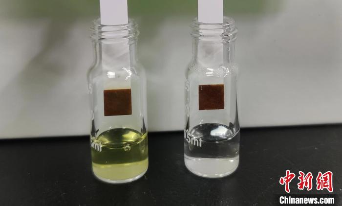 改造后用于制備葡萄糖的酵母菌株發(fā)酵液(棕色溶液)，及制備的葡萄糖(白色溶液)?！⊙芯繄F(tuán)隊 供圖