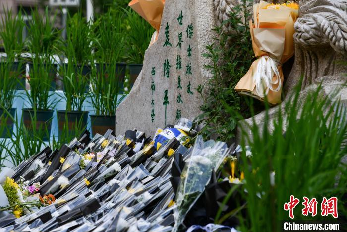 5月22日，在西南大學(xué)校園內(nèi)的袁隆平雕像被鮮花、水稻植株圍繞?！『闻罾?攝
