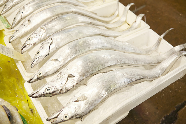 國(guó)臺(tái)辦公布臺(tái)灣白帶魚外包裝檢出新冠陽(yáng)性。（圖源：CFP）