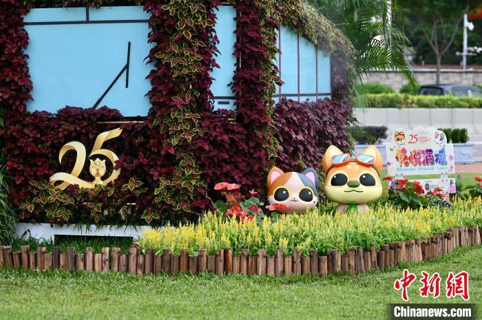 金鐘添馬公園的慶回歸25周年裝飾?！±钪救A 攝
