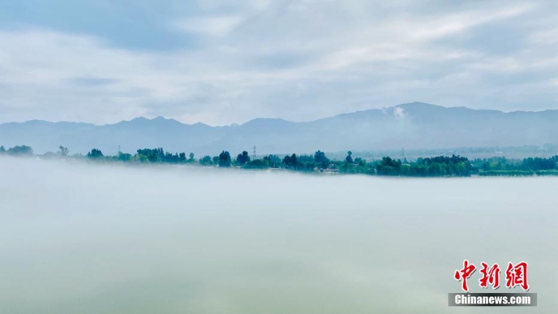 青海尖扎：薄霧、群山、綠樹勾勒黃河夏日圖景