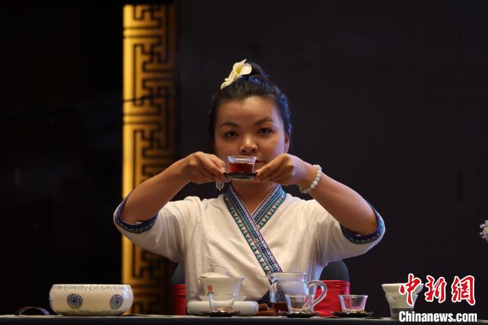 圖為國家高級茶藝師現(xiàn)場沖泡低氟普洱健康茶?！∶赚敋W珠 攝