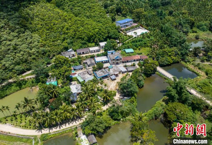 圖為航拍海南省保亭黎族苗族自治縣什玲鎮(zhèn)水賢村?！●樤骑w 攝