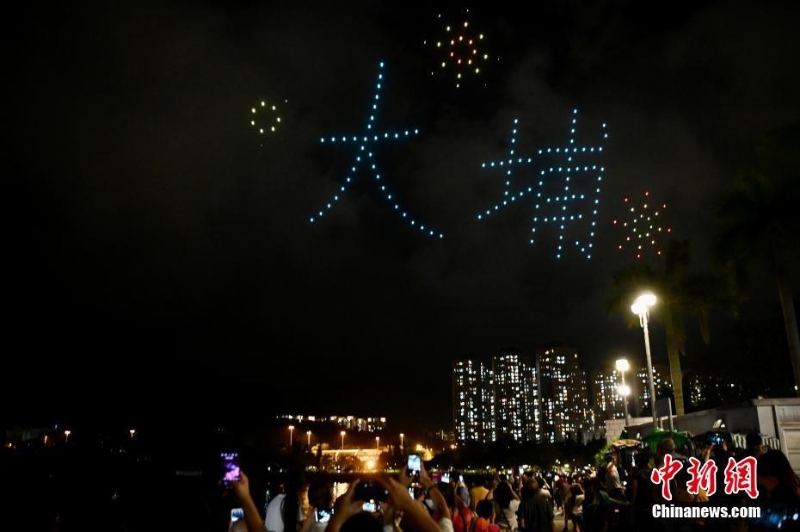 香港大埔海、陸、空匯演慶回歸