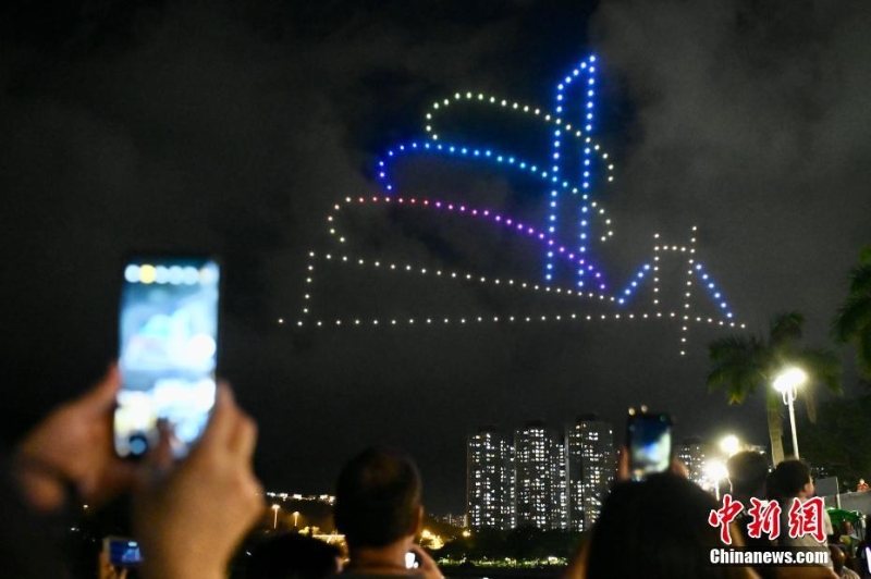 香港大埔海、陸、空匯演慶回歸