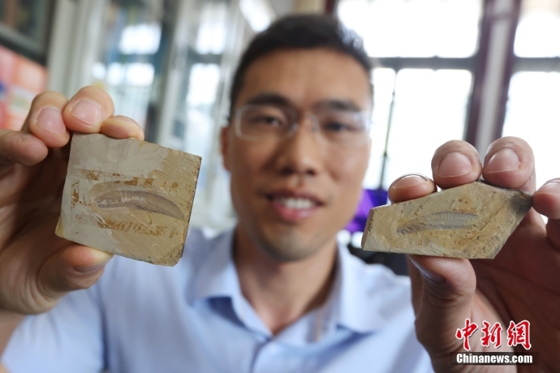 中國科學家發(fā)現迄今為止最原始脊椎動物