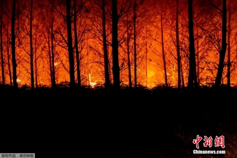 法國林火持續(xù)蔓延 過火面積達上萬公頃