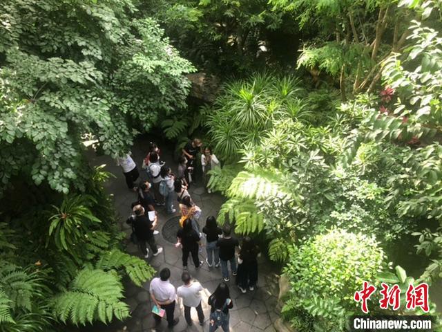 “爭先崛起看中部”——第十七屆全國網(wǎng)絡(luò)媒體山西行采訪團在熱帶雨林館聽取講解?！±钔ヒ?攝