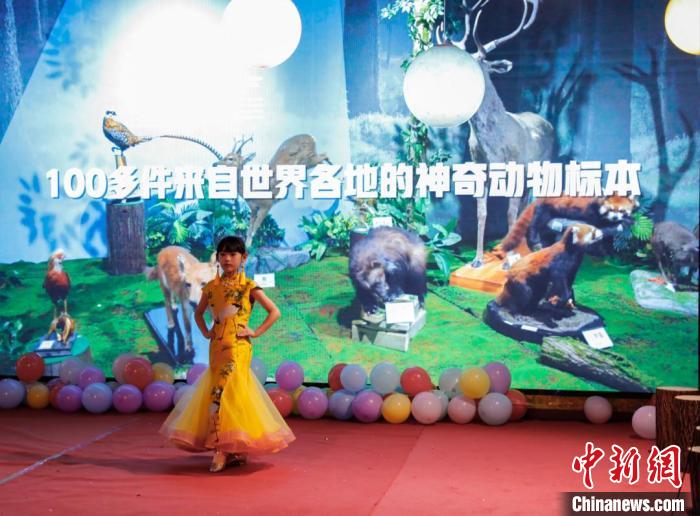 圖為青少年參加貴州省地質(zhì)博物館晚上舉辦的舞臺(tái)秀活動(dòng)?！≠F州省地質(zhì)博物館供圖