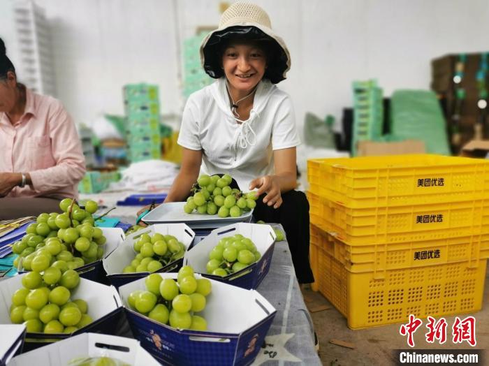 圖為大理漾濞彝族自治縣“00后”姑娘楊字梅，通過葡萄線上售賣產(chǎn)業(yè)鏈增收?！∈┌?攝
