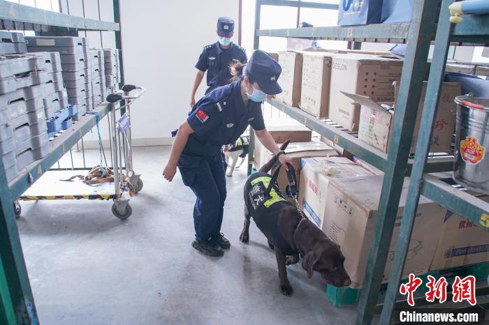 圖為黃曉莉和唐琥犀帶著警犬在南寧東站行包房對(duì)快遞箱包進(jìn)行“二次安檢”?！￡惞谘?攝