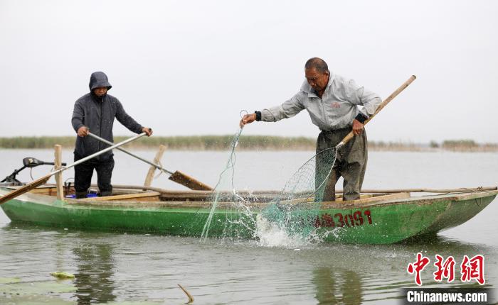 漁民網(wǎng)到了大魚。　陳康 攝