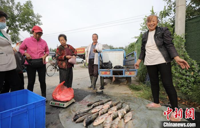 新鮮魚獲上市?！￡惪?攝