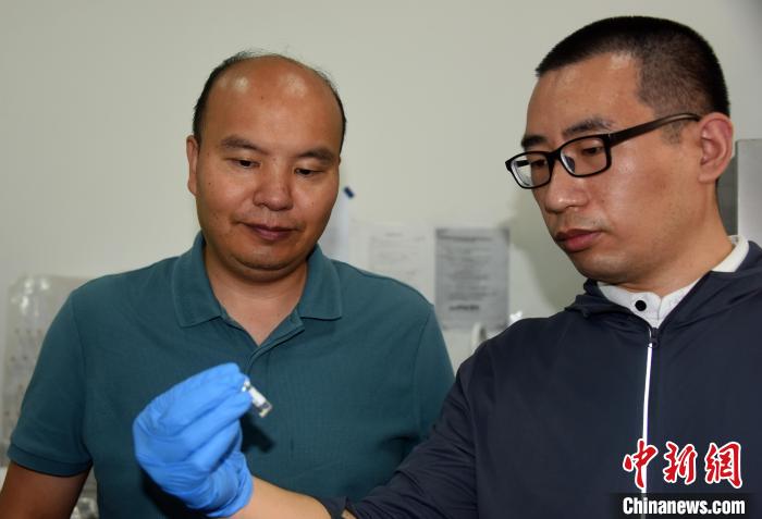 國考大考古系主任楊益民教授(左)、國科大特別研究助理韓賓博士在一起交流。　<a target='_blank' href='/'>中新社</a>記者 孫自法 攝