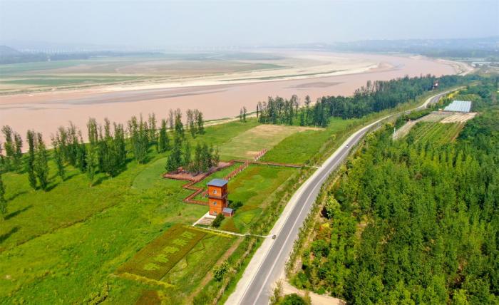 這是2022年8月10日在河南省三門峽市拍攝的黃河生態(tài)廊道(無人機照片)。新華社記者 郝源 攝