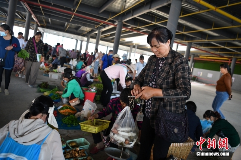 圖為8月9日，陳興菊在菜市場(chǎng)售賣(mài)野生菌。 <a target='_blank' href='/'>中新社</a>記者 劉冉陽(yáng) 攝